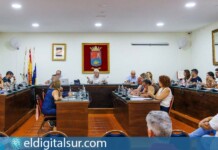 Pleno extraordinario del Ayuntamiento de Adeje