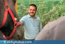 Equinoterapia pie a tierra