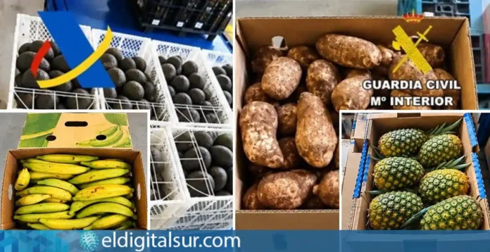 Mercancía de fruta tropical procedente de terceros países intervenida