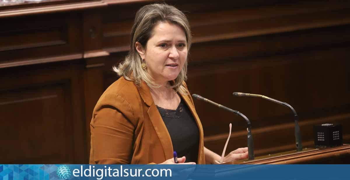 Diputada Alicia Vanoostende del Grupo Parlamentario Socialista por La Palma