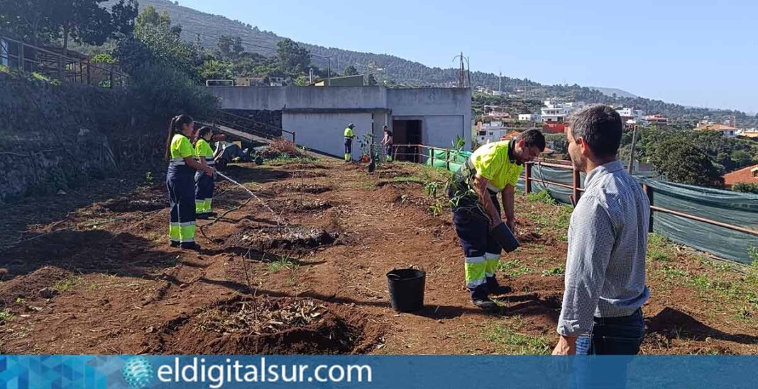 Arboretum: San Juan de la Rambla florece con el primer jardín de ...