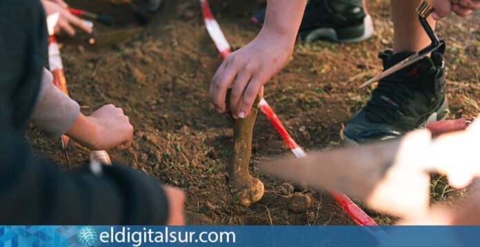 Estudiantes de La Laguna - Arqueología