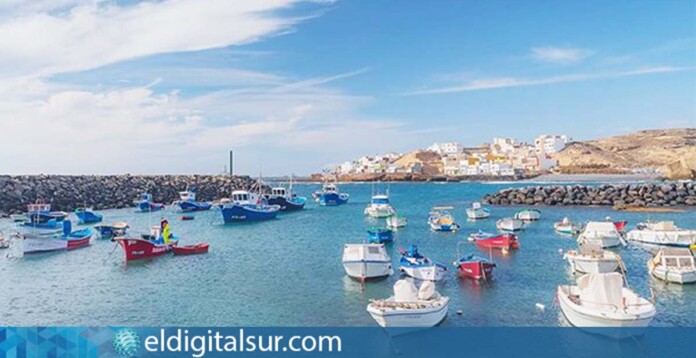 Arico rechaza el parque eólico marino y presenta 93 alegaciones por su impacto ambiental