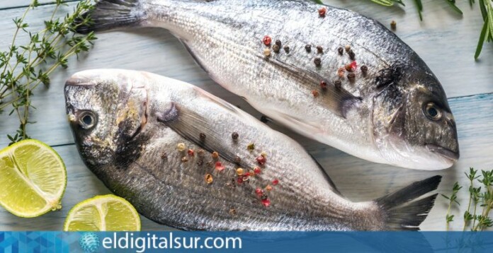pescados con mercurio