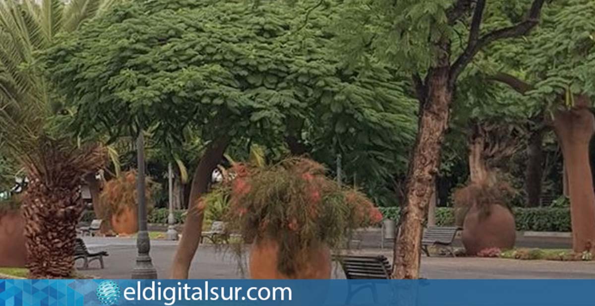 Rambla Las Tinajas - Santa Cruz de Tenerife.