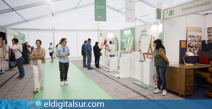 Programación de MIDA en Candelaria Tenerife