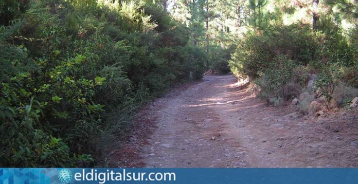Pista de Lolita y Caño Chingue