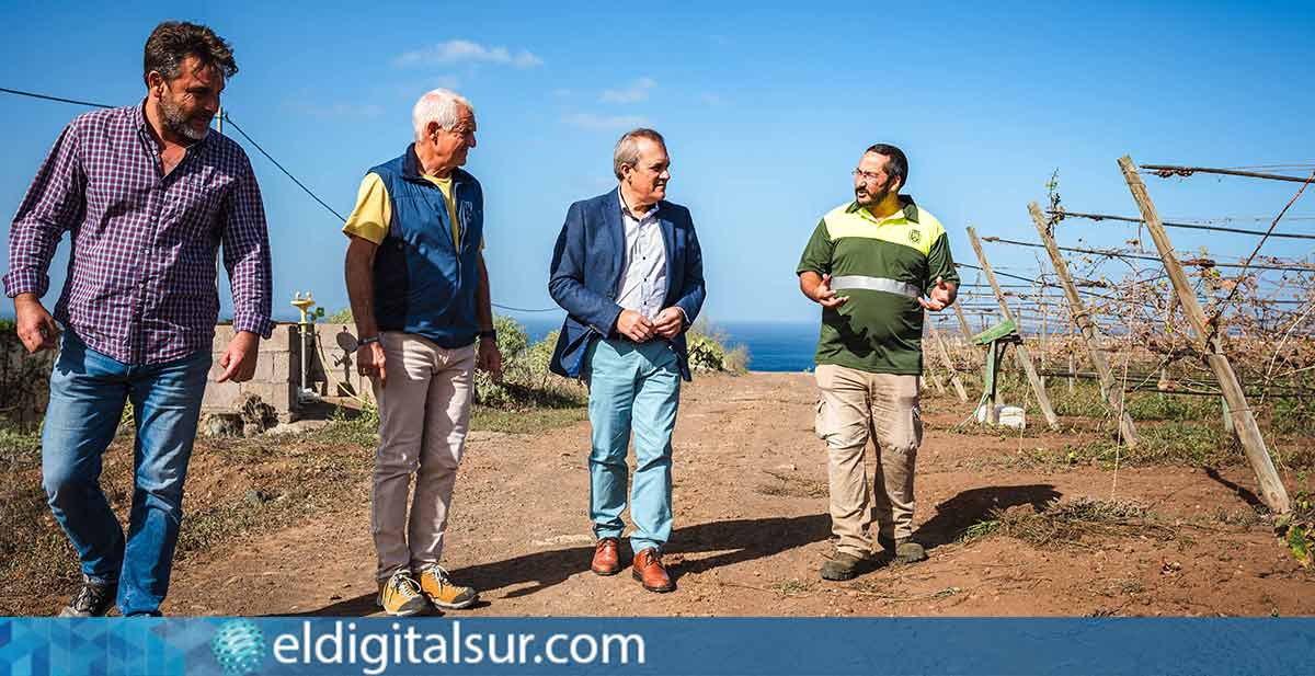 Plan de Modernización de las Agencias de Extensión Agraria Tenerife.