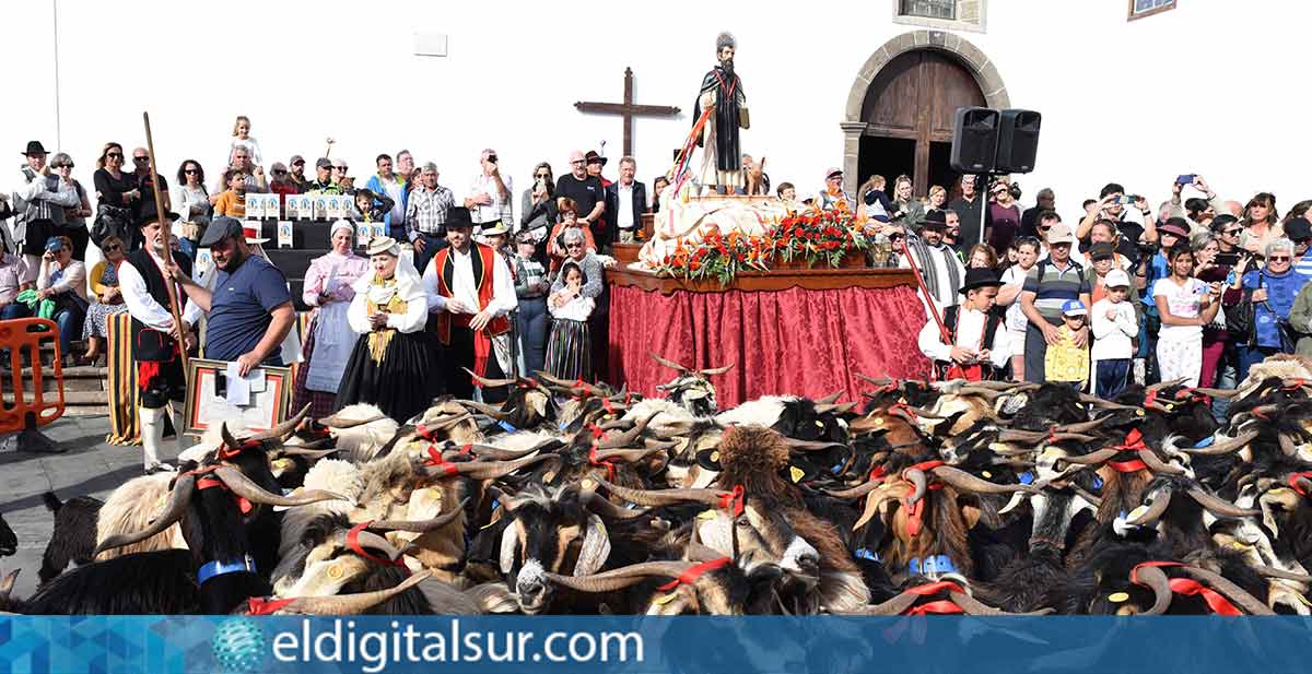 Celebración de San Antonio Abad - Buena Vista del Norte.