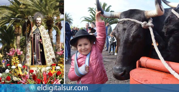 Feria San Antonio Abad - Tacoronte.