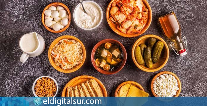 alimentos probioticos