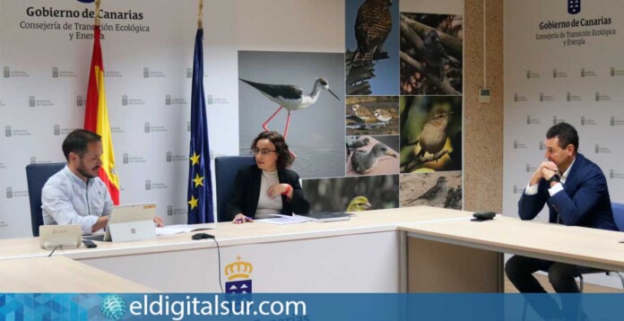 arico-gobierno-canarias-ecológica-010204 Encuentro entre el Ayuntamiento de Arico y la Consejería de Transición Ecológica