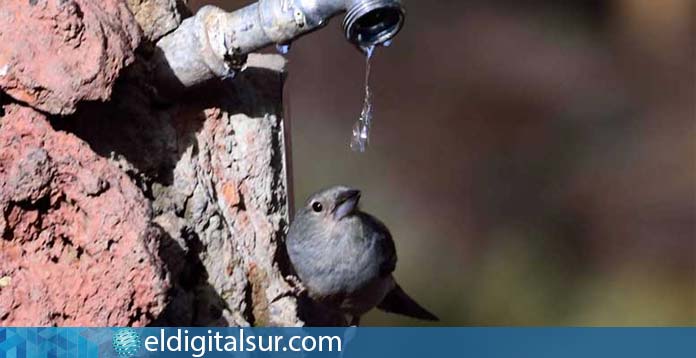 bebederos agua animales incendio forestal tenerife
