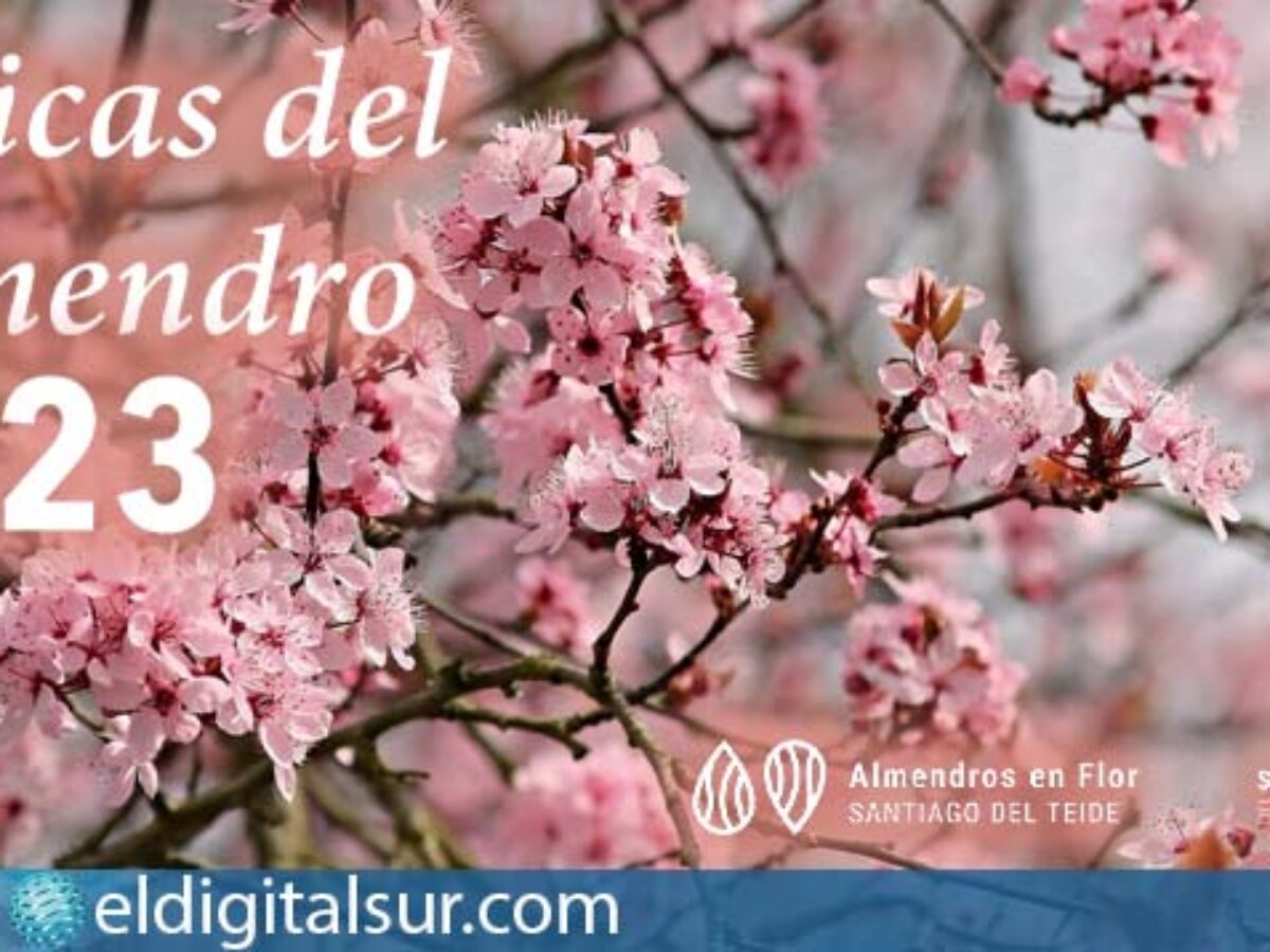 Inicia el concurso “Líricas del Almendro 2023” en Santiago del Teide