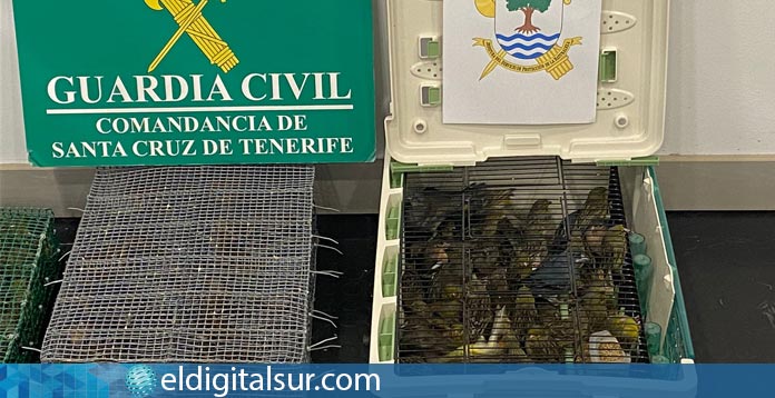 delito trafico de aves aeropuerto Tenerife sur
