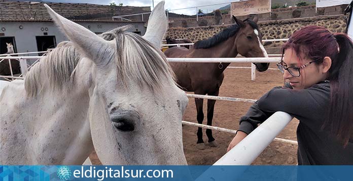 cuidadores de caballos Santa Cruz Tenerife