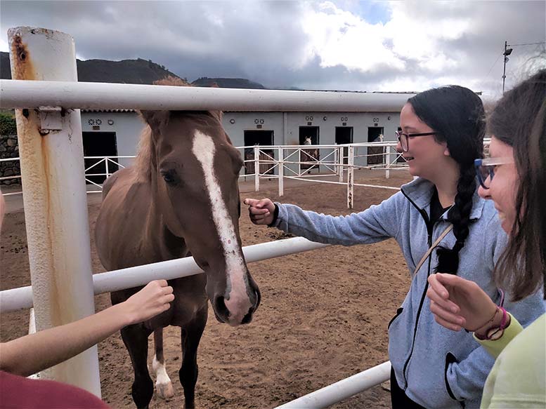 cuidadores de caballos Santa Cruz Tenerife