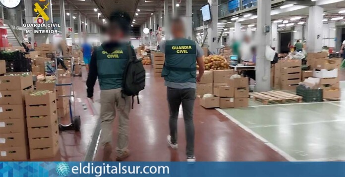 Decomiso Masivo Frutas Verduras Tenerife