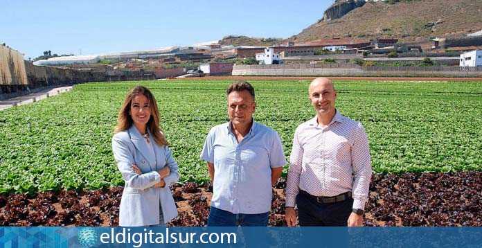 HiperDino comercializa fruta y verdura de Canarias