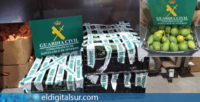 La Guardia Civil interviene casi 207 kg de aguacates y papayas comercializados ilegalmente en Tenerife