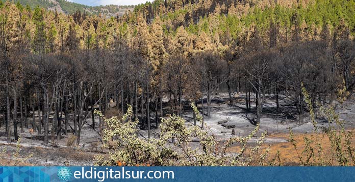 Zona Catastrófica en Tenerife