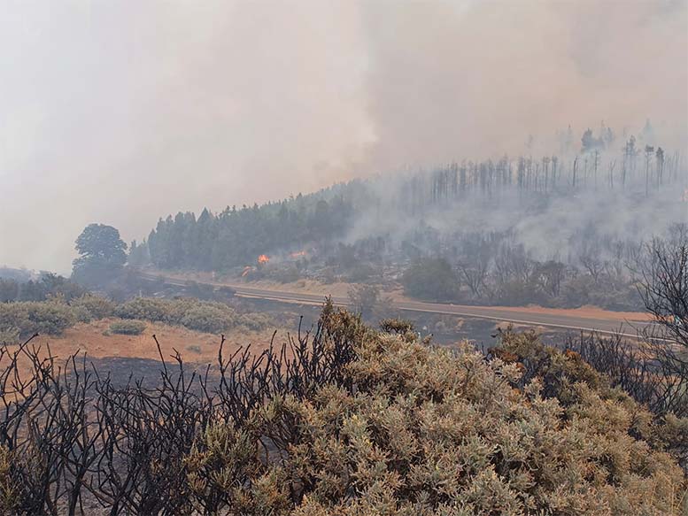 Incendio en Gran Canaria