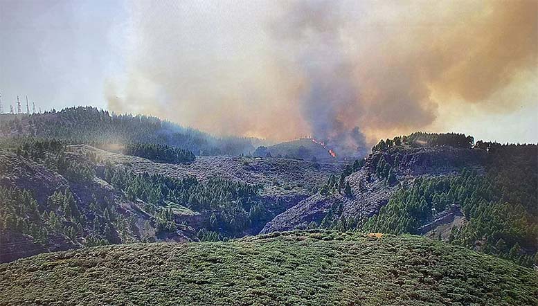 Fotos de incendio en gran canaria pinar