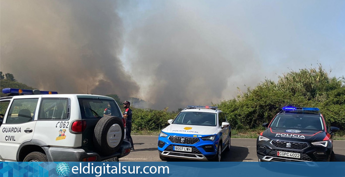 Incendio Forestal en La Esperanza