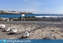 playa de La Ballena