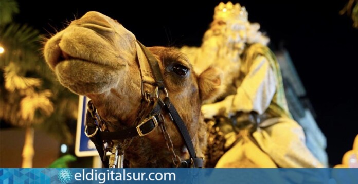 Cabalgata de los Reyes Magos Los Cristianos Arona